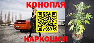 амф Бийск