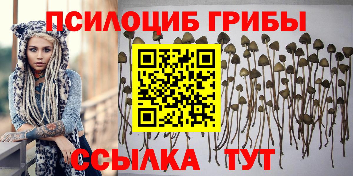 Галлюциногенные грибы прущие грибы Большой Камень