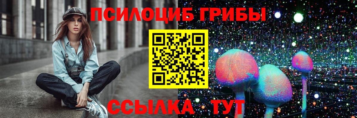Большой Камень  Псилоцибиновые грибы MAGIC MUSHROOMS  Вход с VPN 